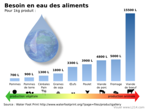 besoins-en-eau-par-aliment