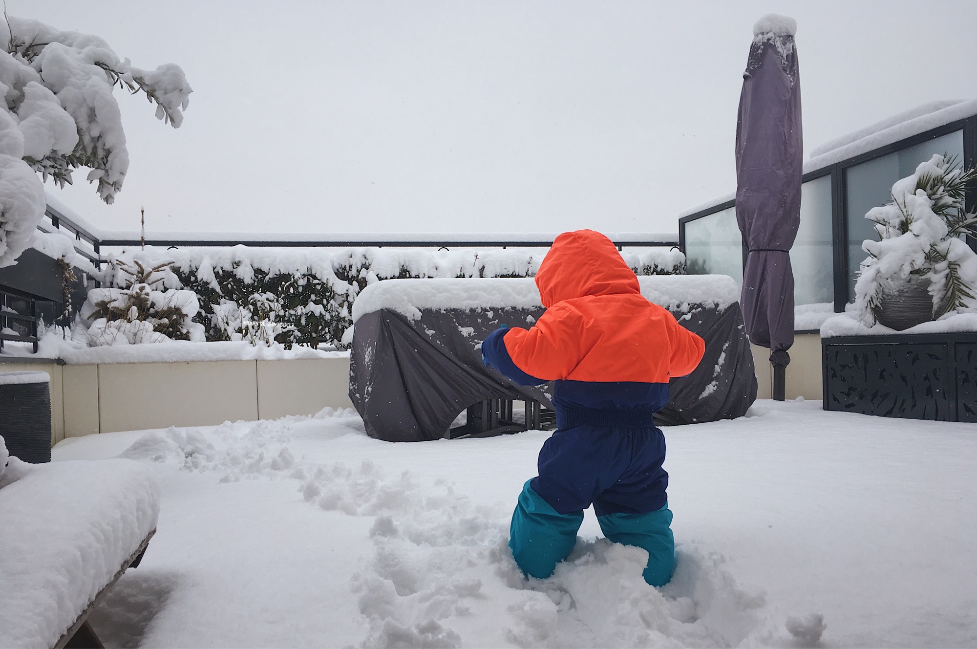 chaton-dans-la-neige