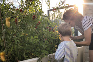cultiver-ses-legumes-avec-enfants